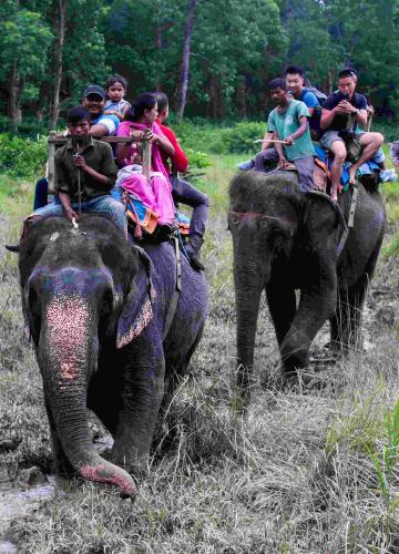 Elephant_Safari_inside_Chitwan_N 