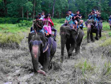 Elephant_Safari_inside_Chitwan_N 