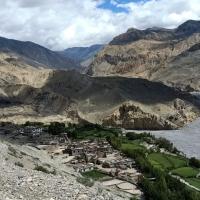 Upper mustang 5 