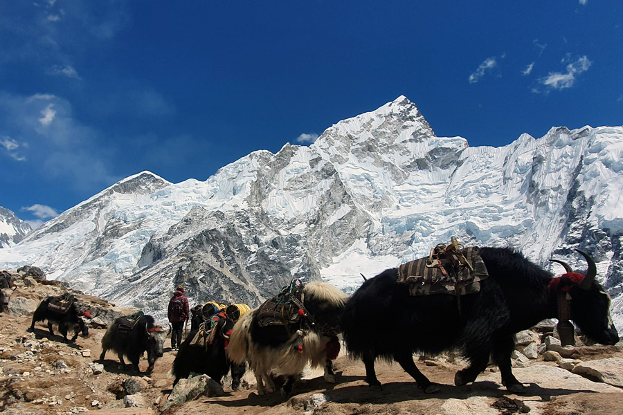 Everest region 3 