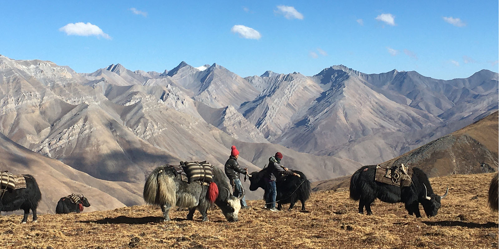 dolpo-trek 