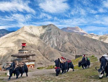 Upper-dolpo-trek 