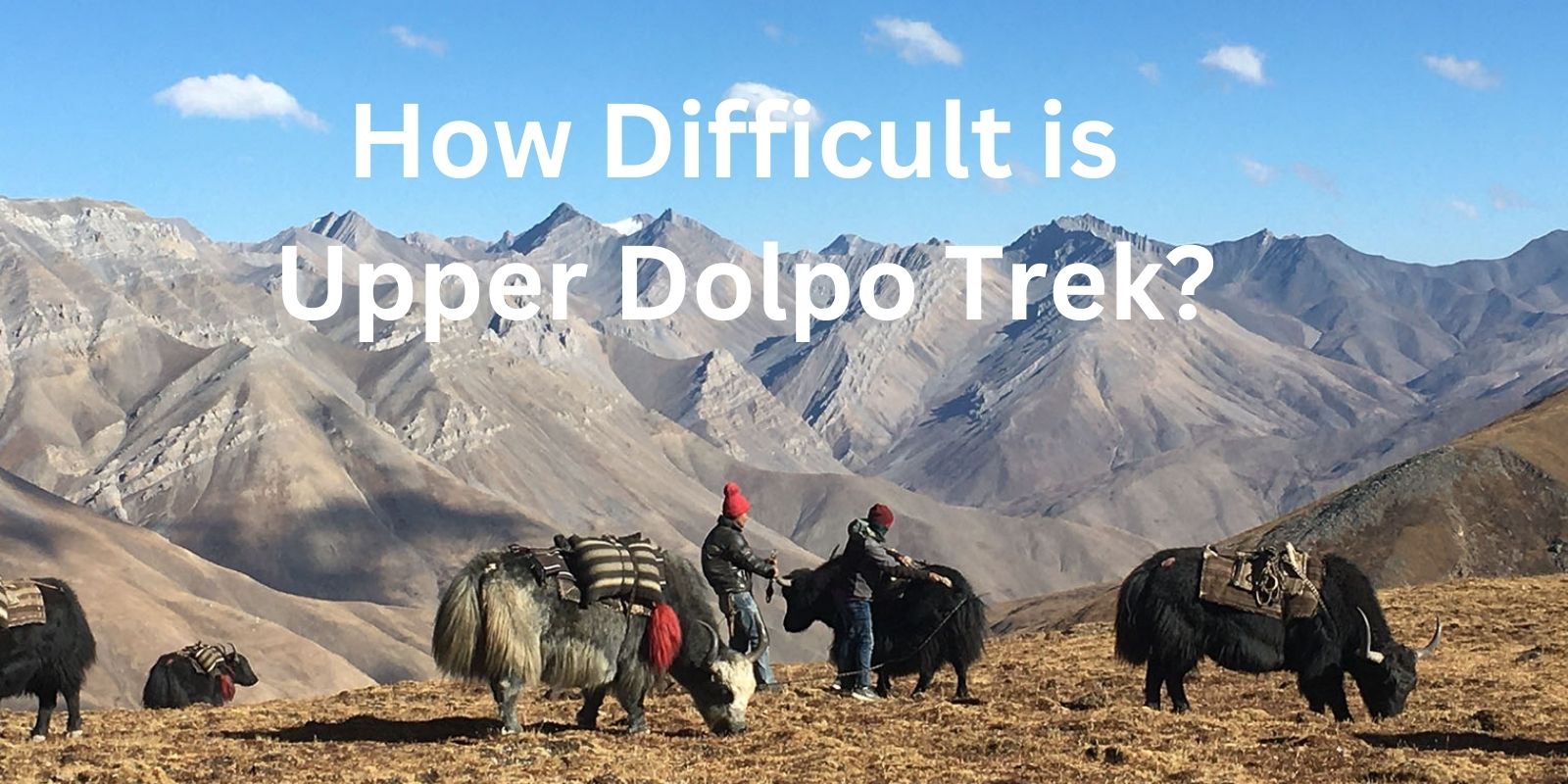 upper-dolpo-trek 