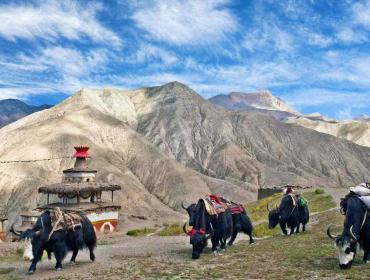 best-season-for-upper-dolpo-trek