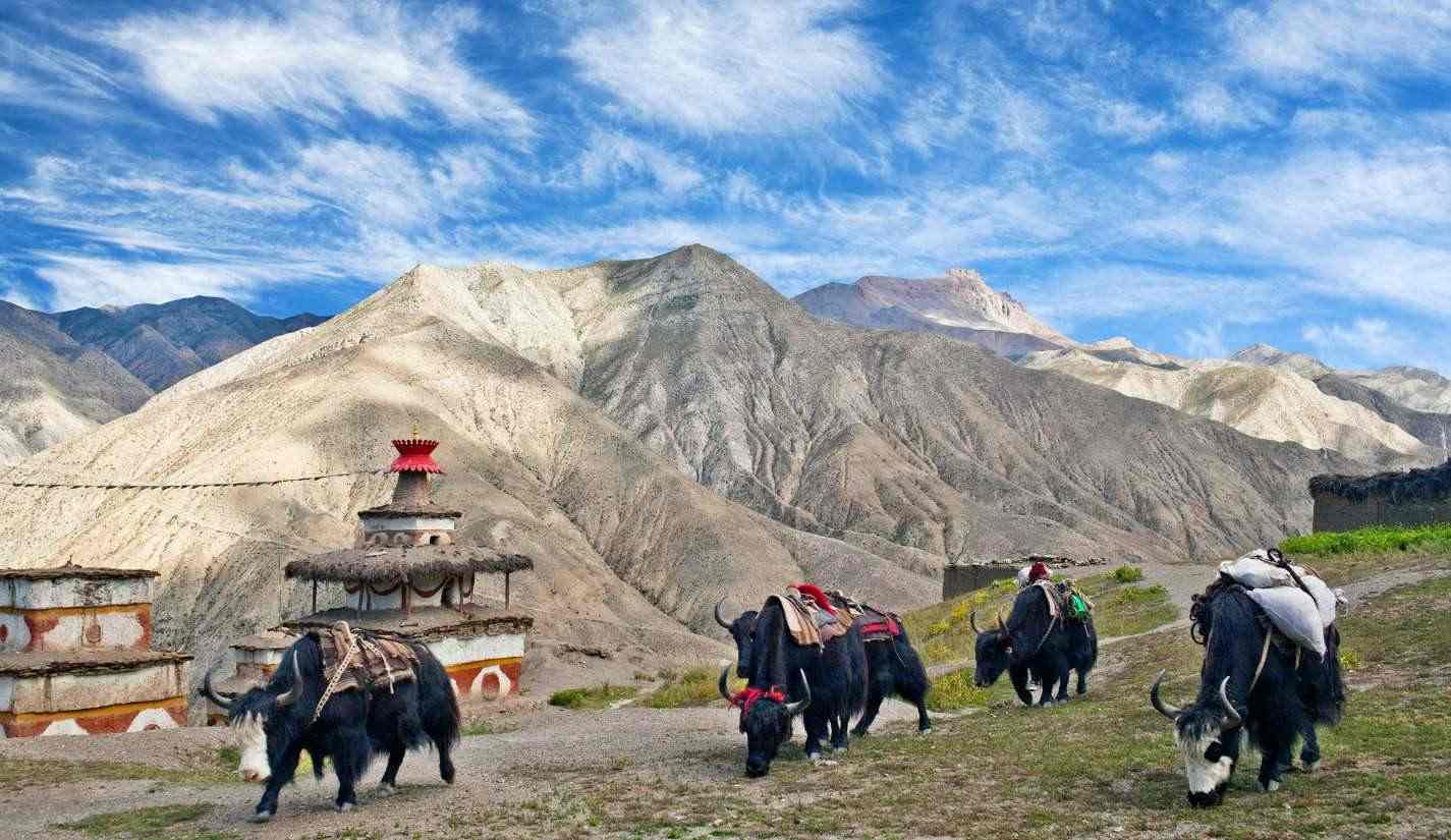 best-season-for-upper-dolpo-trek