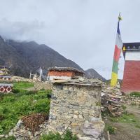 Dolpo Mugu 11 