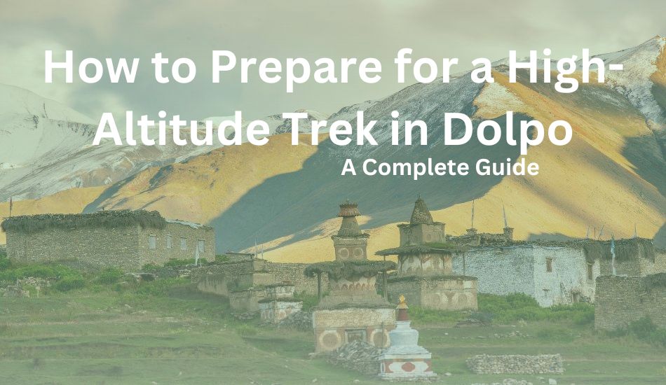 high-altitude-trek-in-dolpo 