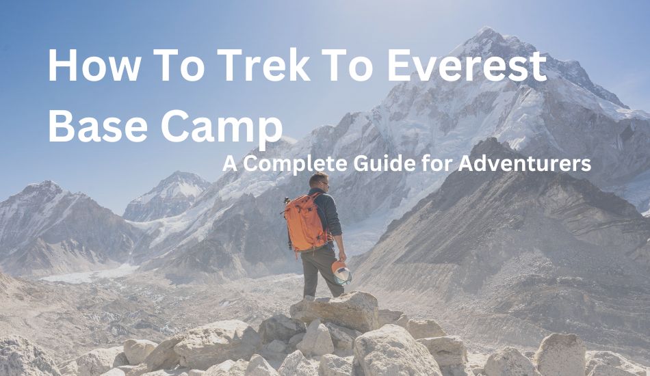 how-to-trek-to-everest-base-camp-dolpo-caravan 