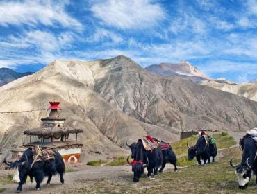 upper-dolpo-trek 