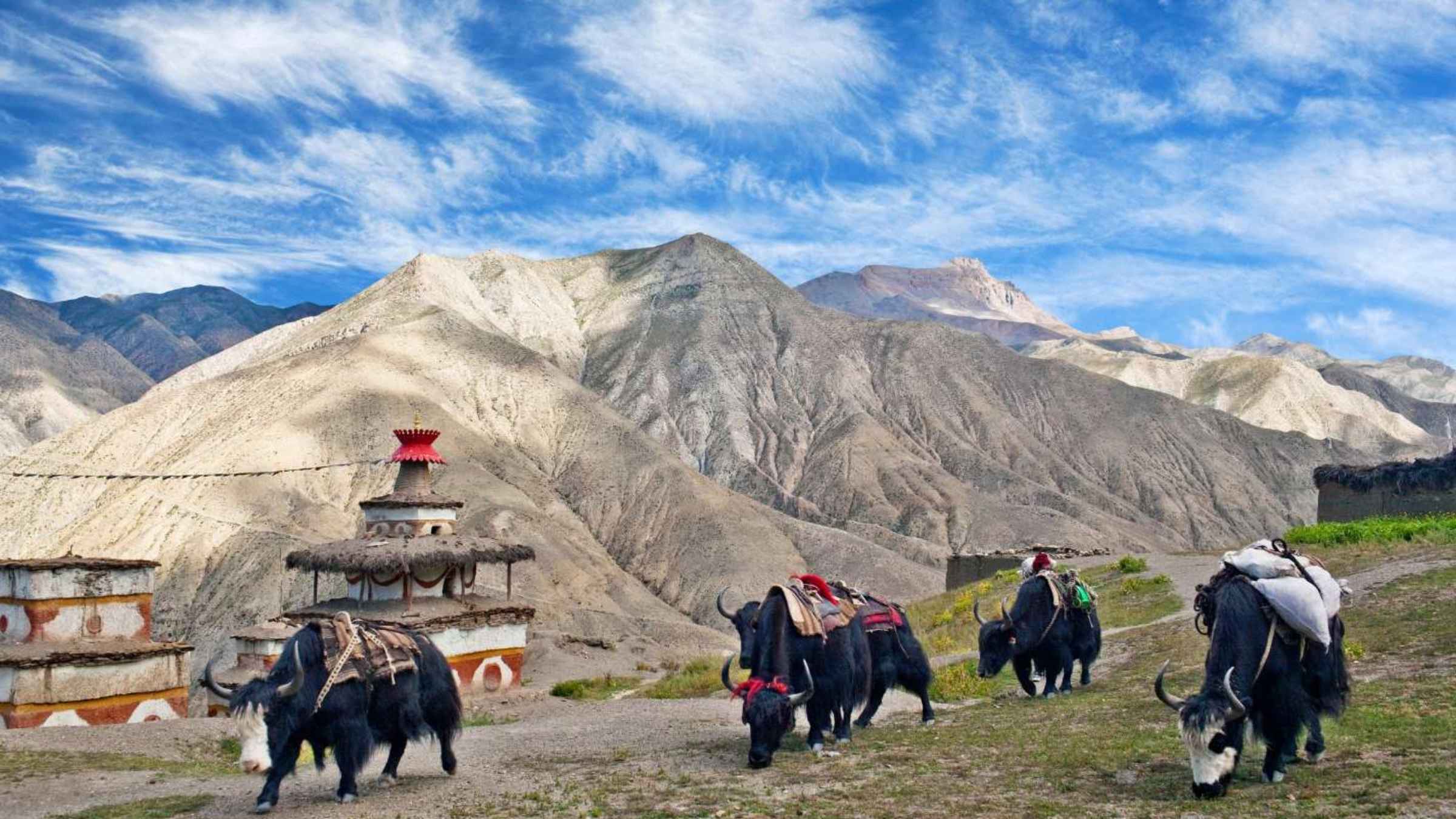 upper-dolpo-trek 