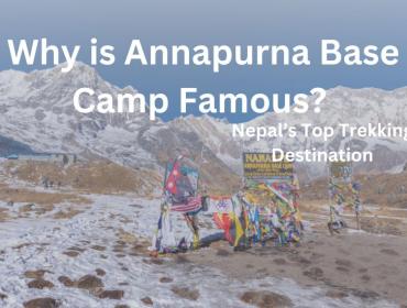 Why-is-annapurna-base-camp-famous-dolpo-caravan 