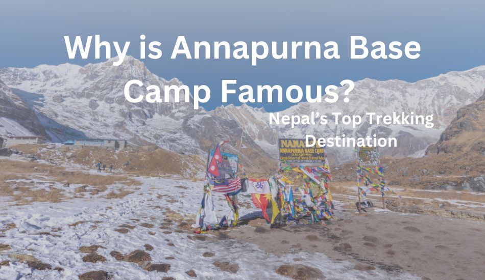 Why-is-annapurna-base-camp-famous-dolpo-caravan 