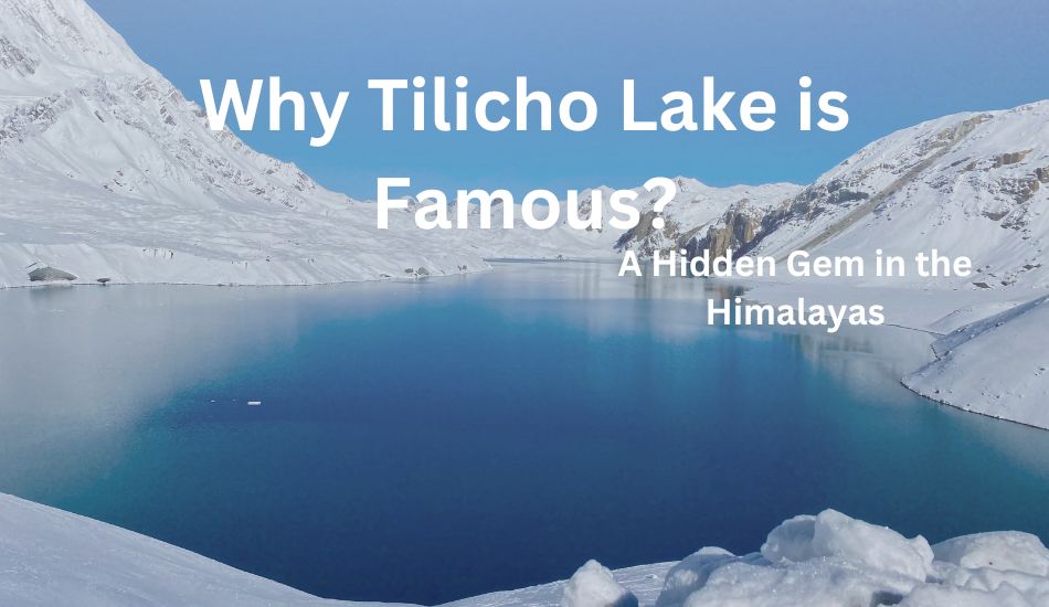 why-tilicho-lake-is-famous-dolpo-caravan 