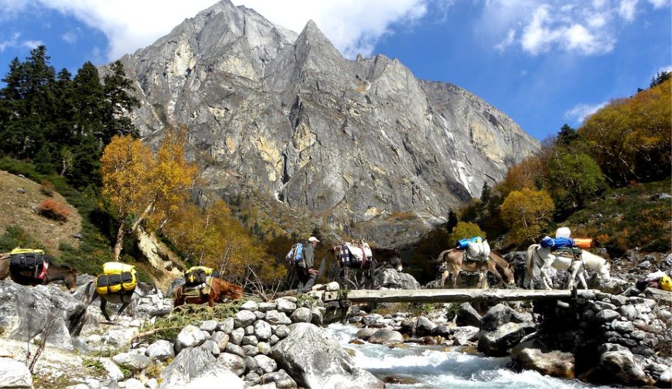 limi-valley-trek-dolpo...